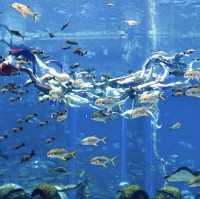 Best entertainment resort destination
