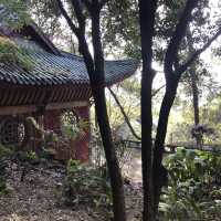 The Great Buddha temple scenic area 