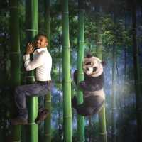 3D museum of illusion 