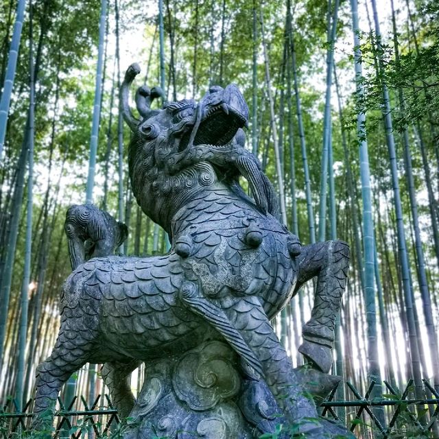 Hiking amongst the bamboo! 🌲🌿🏞️