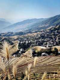 A trek to Longji Rice Terraces 