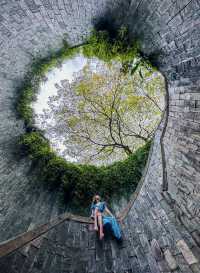 Singapore Dragon's Den | Fort Canning Park • Tree Hole Observatory 🌳 Hidden in the lush greenery