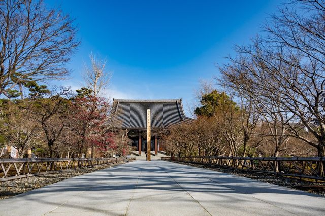 【Kyoto · Chishakuin · Red Plum Blossom · 2023】