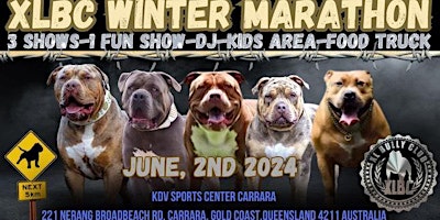 XLBC Winter Marathon: Celebrating XL American Bullies | KDV Sport