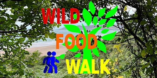 May Woolacombe (North Devon) Coastal Wild Food Foraging Walk. | Outside Woolacombe Tourism Information Centre