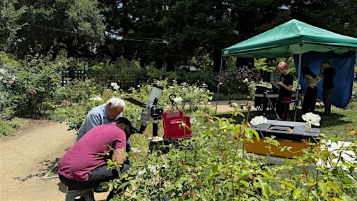 June  Second Saturday: Summer Solstice & Birthday Celebration | Elizabeth F. Gamble Garden