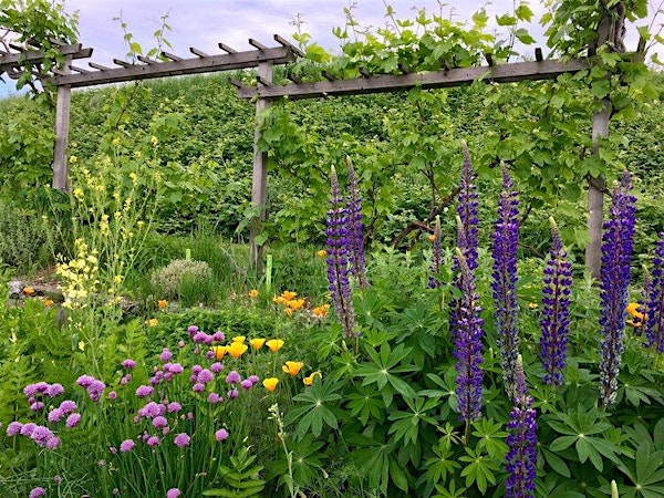 Beacon Food Forest Foraging Fun Tours # 2 | Beacon Food Forest