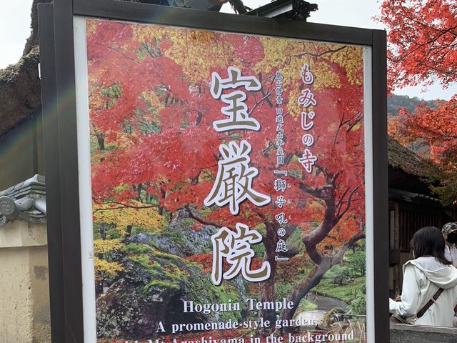 京都[紅葉めぐり]    　ー獅子吼の庭ー　宝厳院にて心を癒す