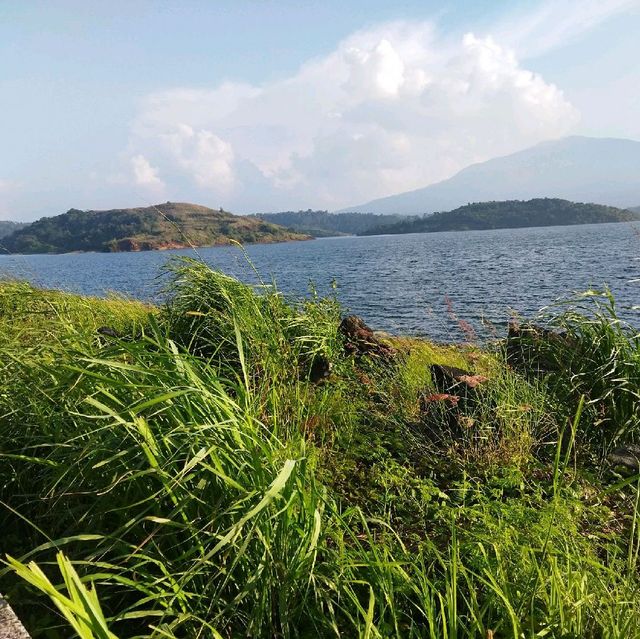 Banasura