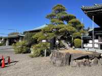 名古屋⛩覚王山【日泰寺】
