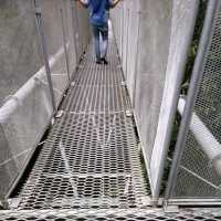 Tree Top Walk Sungai Sedim Kedah 🇲🇾