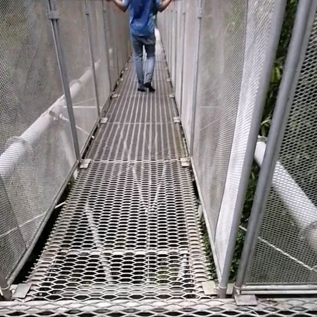 Tree Top Walk Sungai Sedim Kedah 🇲🇾