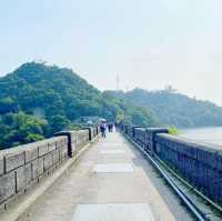 針山