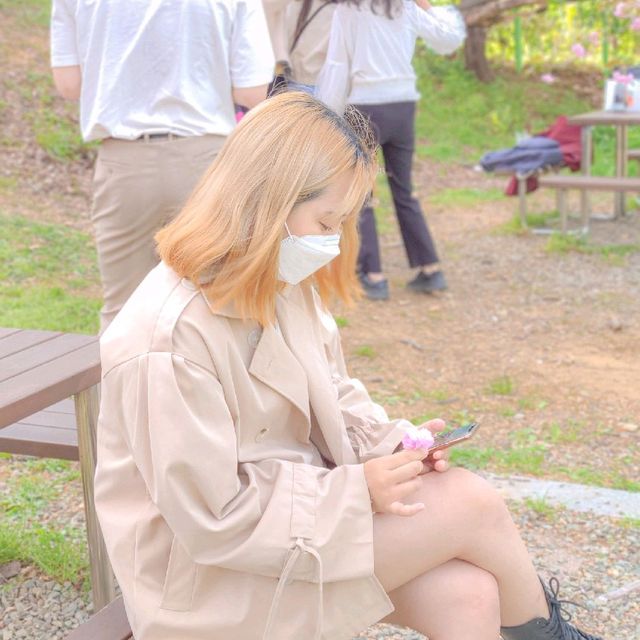 부산 겹벚꽃 명소, 부산 민주공원