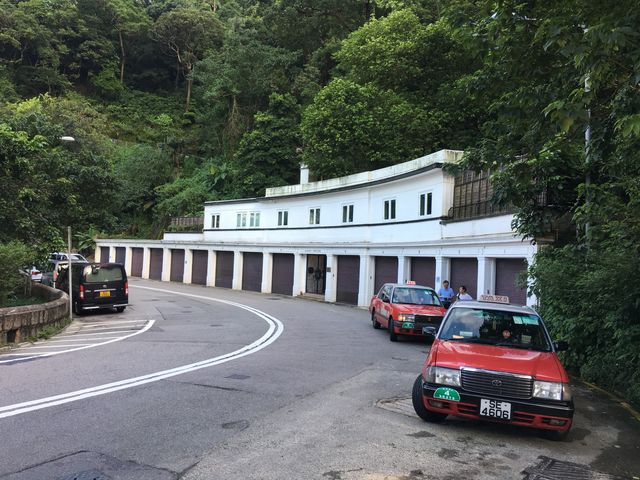港島劏青蛙