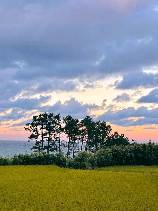  제주도에 온듯한 숙소 포항 오션뷰 바다향기펜션