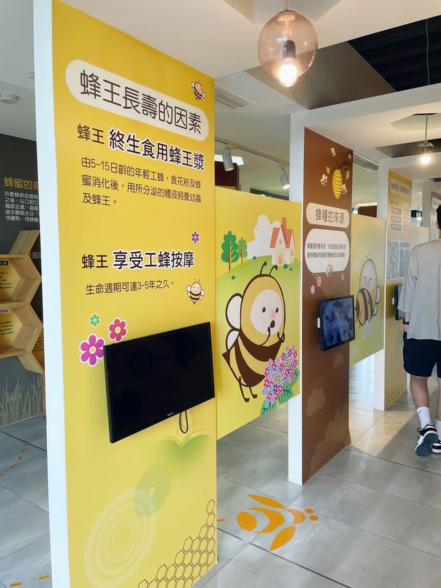 花蓮景點推薦｜蜜蜂生態教育館🐝