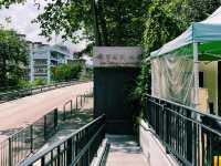 饒宗頤文化館展覽