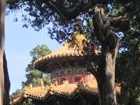 The Palace - Forbidden City - Beijing 