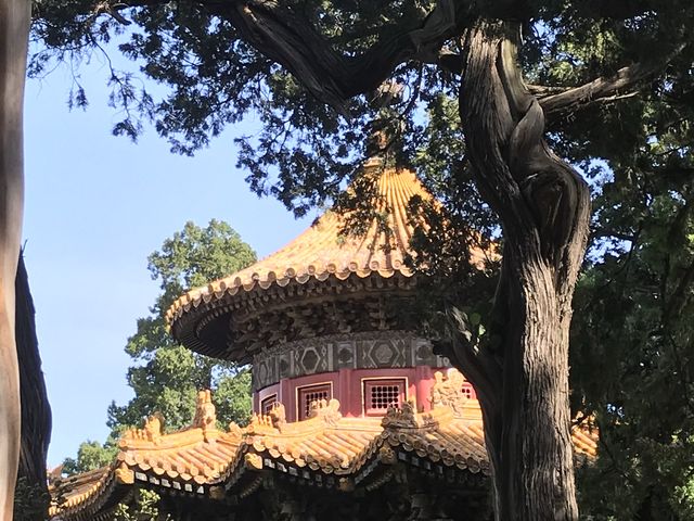 The Palace - Forbidden City - Beijing 