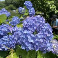 保土ヶ谷公園で自然と遊ぼう！