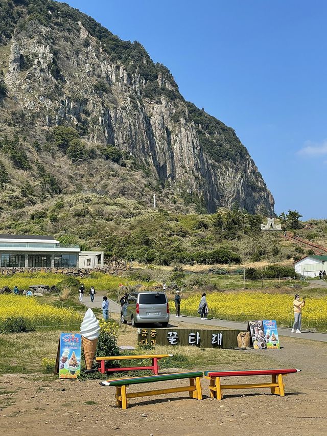 < 제주 여행 > 산방산 해안, 용의 머리를 닮은 용머리해안 🌊
