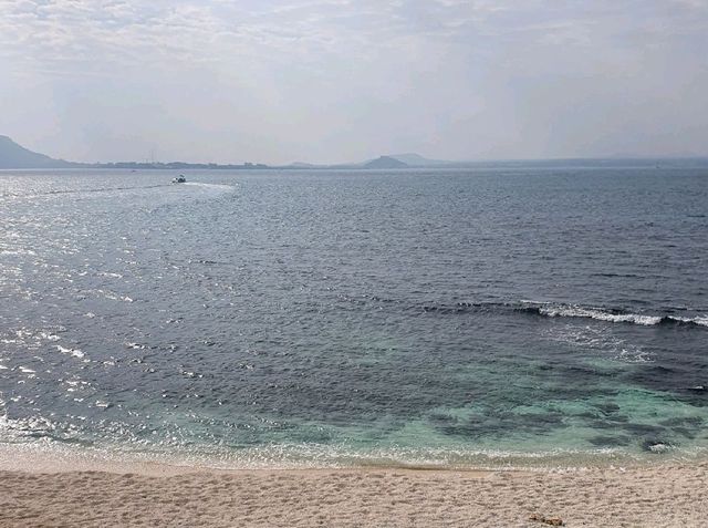 [제주] 우도 산호해변💙 동양에서 유일한 하얀 모래 해수욕장을 볼 수 있는 곳!