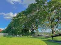 ARTISAN x 123 glamp ค่าเฟใต้ต้นไม้ใหญ่ 