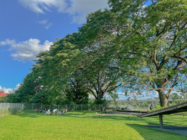 ARTISAN x 123 glamp ค่าเฟใต้ต้นไม้ใหญ่ 