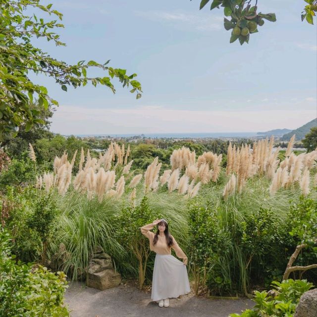 ⛰️가을이 가득히 피어난 아름다운정원 [제주, 마노르블랑]