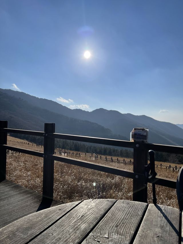 [울산]지금 완전 핫한 간월재 피크닉❣️