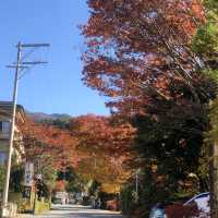 秋色之選