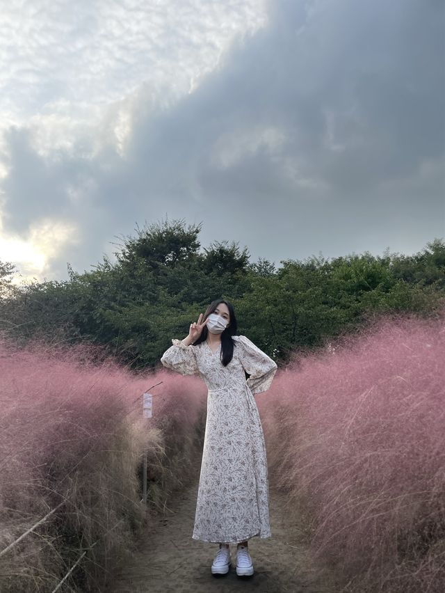 서울 핑크뮬리 맛집 :: 올림픽공원 야생화단지💖