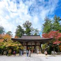 【紅葉巡り】湖東三山 西明寺