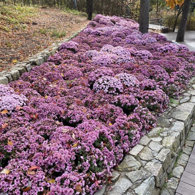 그 유명한 화담숲 다녀왔어요