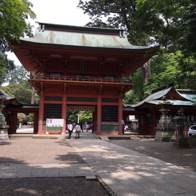 池と森とパワースポット