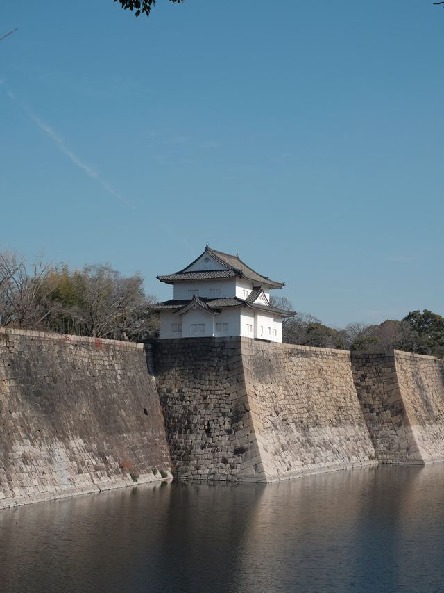 The famous castle of Osaka! 