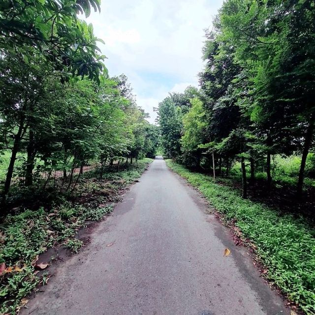 Kranji Marshes exploration