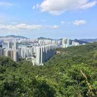 市區行山 - 金督馳馬徑