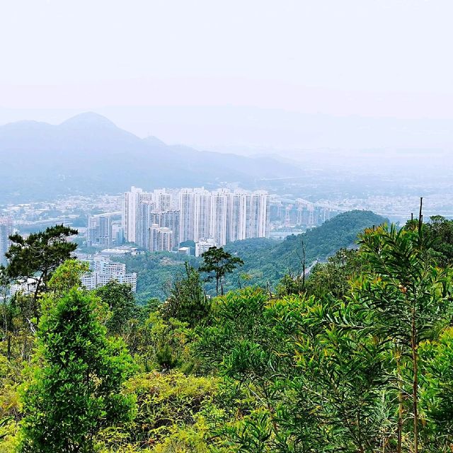 藍地水塘 屯門徑 彩虹欄桿