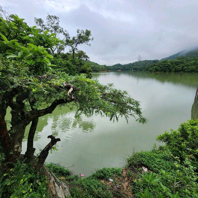 金山九龍水塘