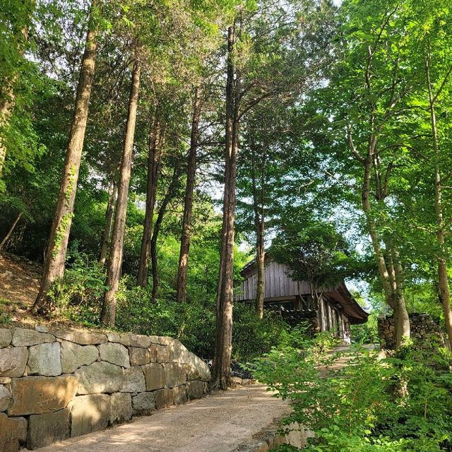 봄 순천여행 