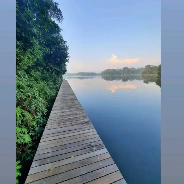 Discover Nature @ Macritchie