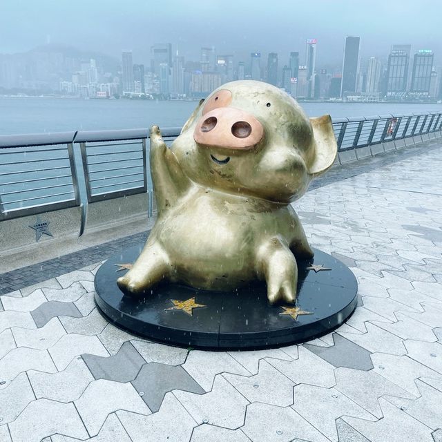 漫遊星光大道