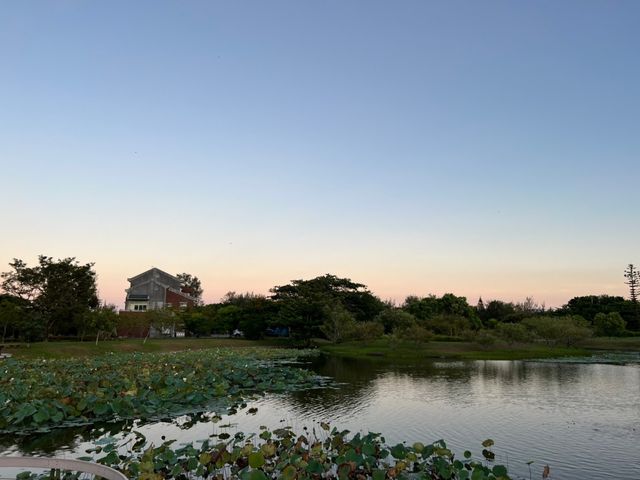 超美的台東森林公園 這裡還有琵琶湖可以賞景色 更可以騎自行車放鬆唷