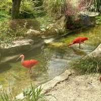 英國最具規模的野生動物公園及花園