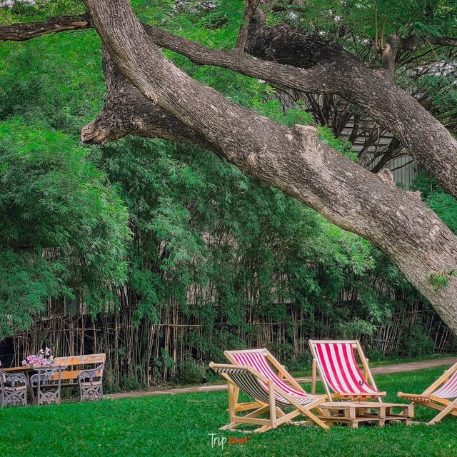 คาเฟ่ที่มีวิวสวนสวยๆ สีเขียวๆสลายตาสุดๆ