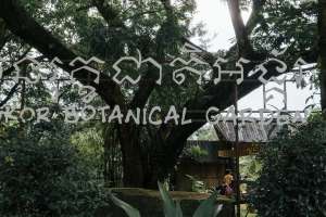The Best View of Angkor Botanical Garden 