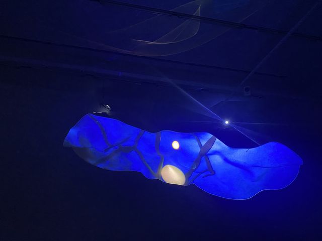 值得去參觀細味嘅展覽