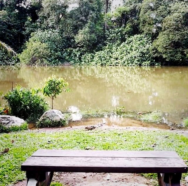 Hiking In Kent Ridge Park On Weekends 